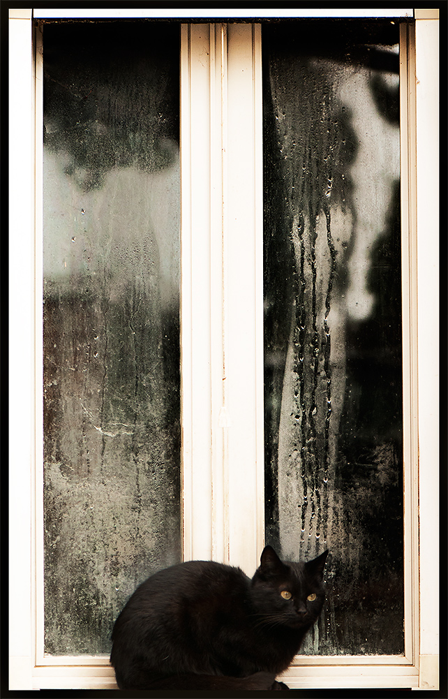 Pleaseeeee!!!!!!!!!!