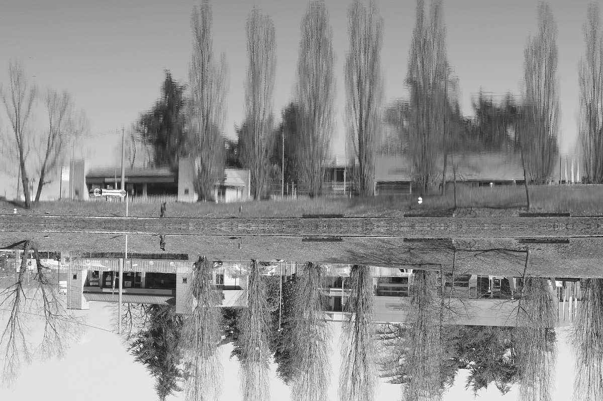 Riflessi nell'acqua 1