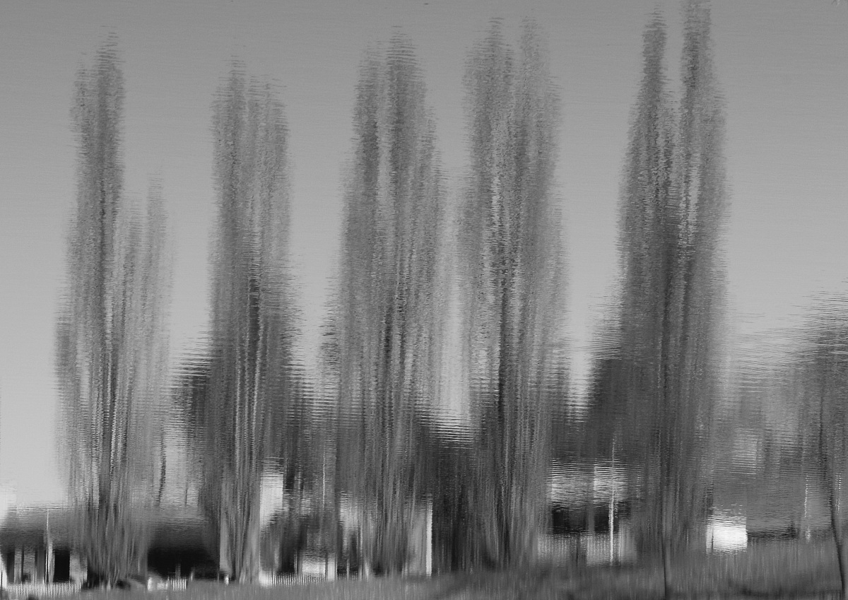 Riflessi nell'acqua 3