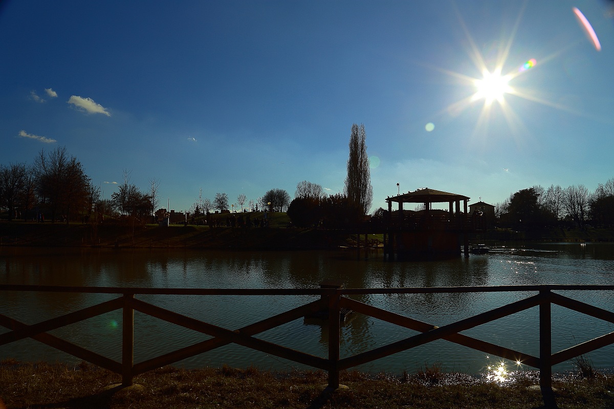A day at the park ...