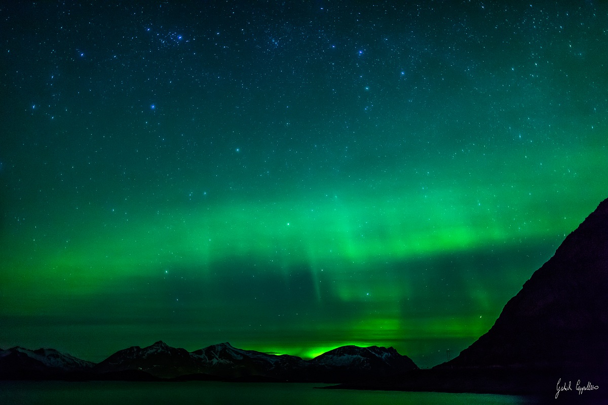 Aurora Borealis Lofoten-