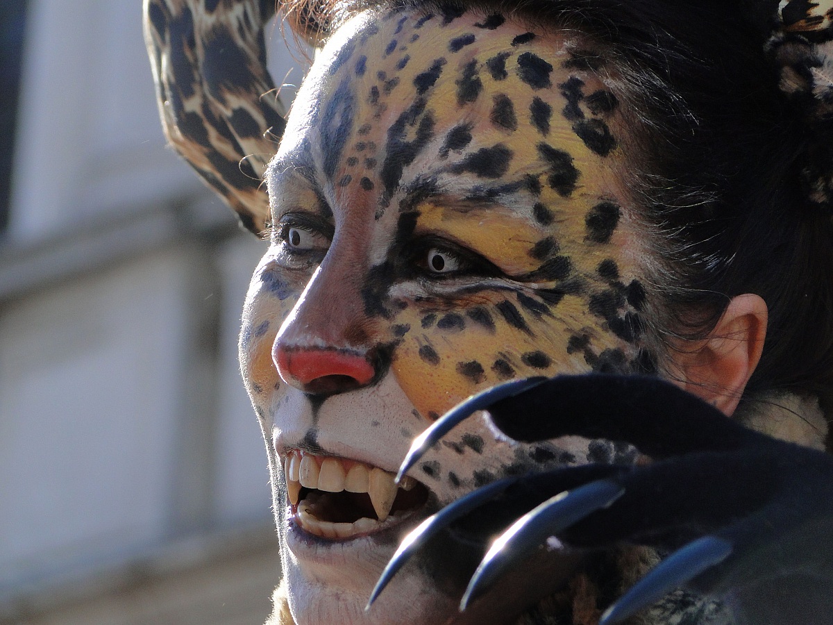 Carnival of Venice 8