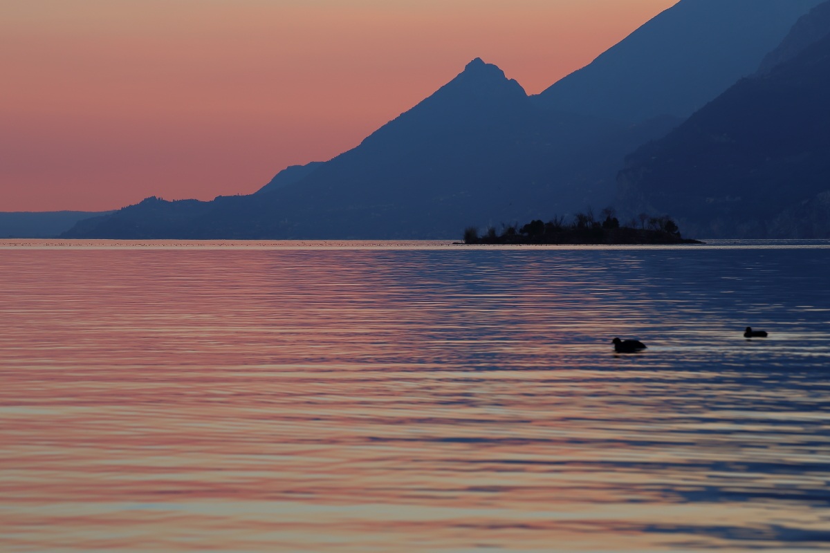 Olive Island - Malcesine - Lake Garda