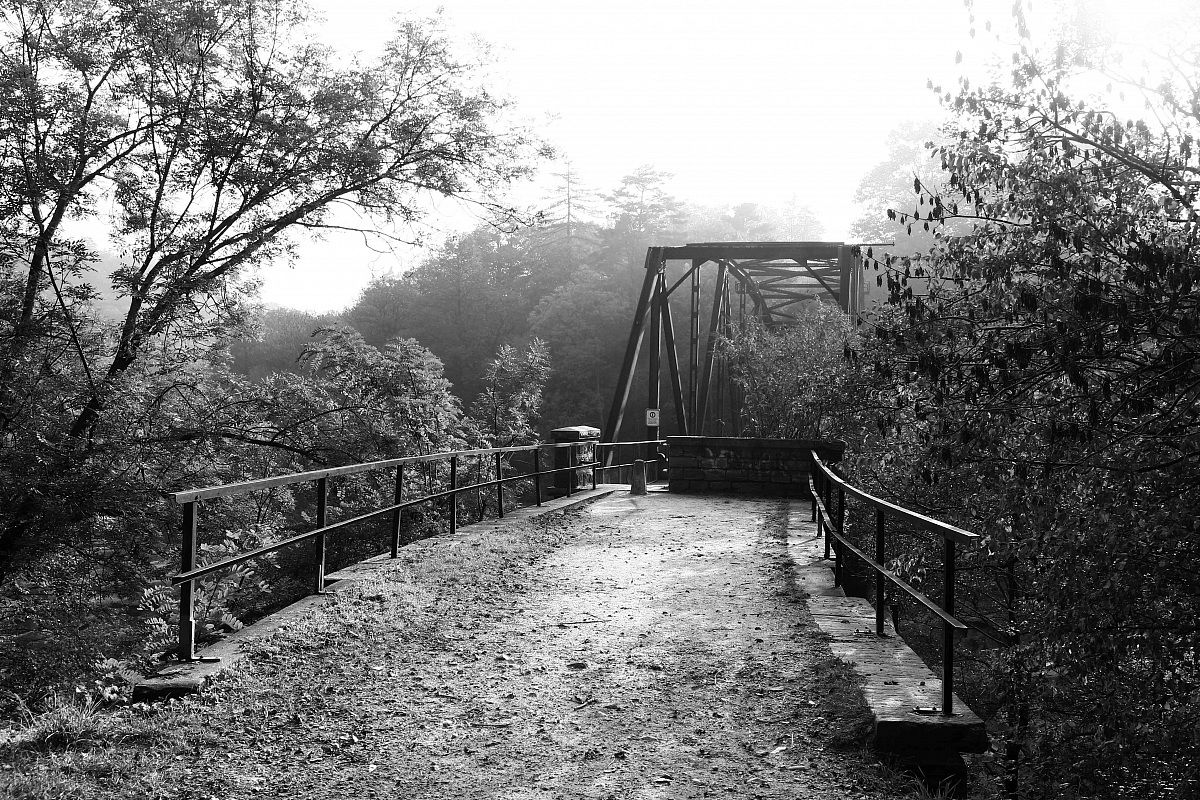 The bridge over the river