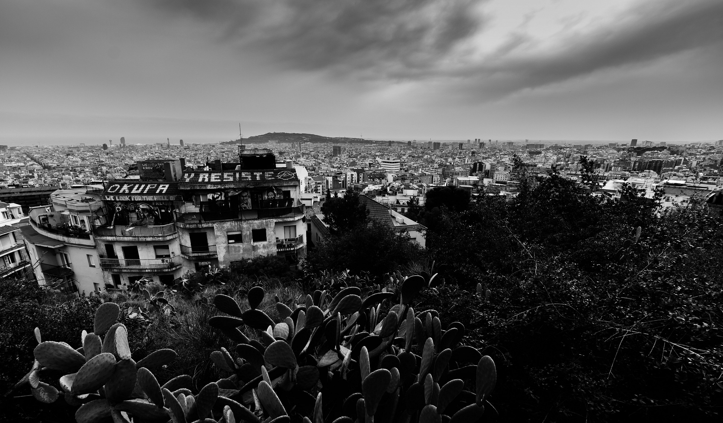 View from Parc Guell