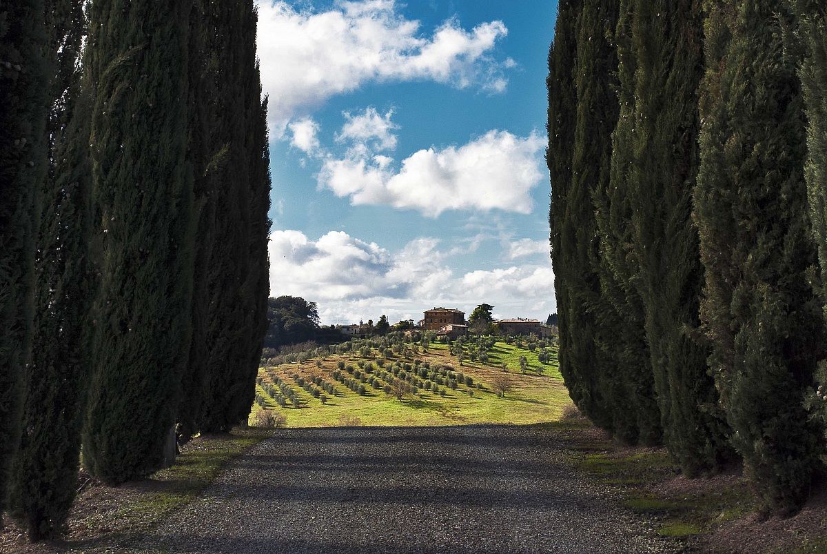 Nei dintorni di Siena #1