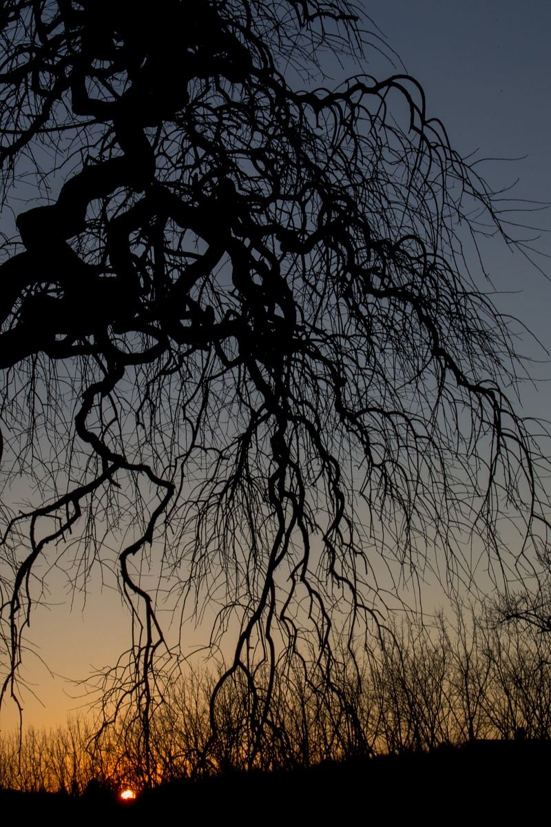 Tramonto a Colle Umberto (tv)