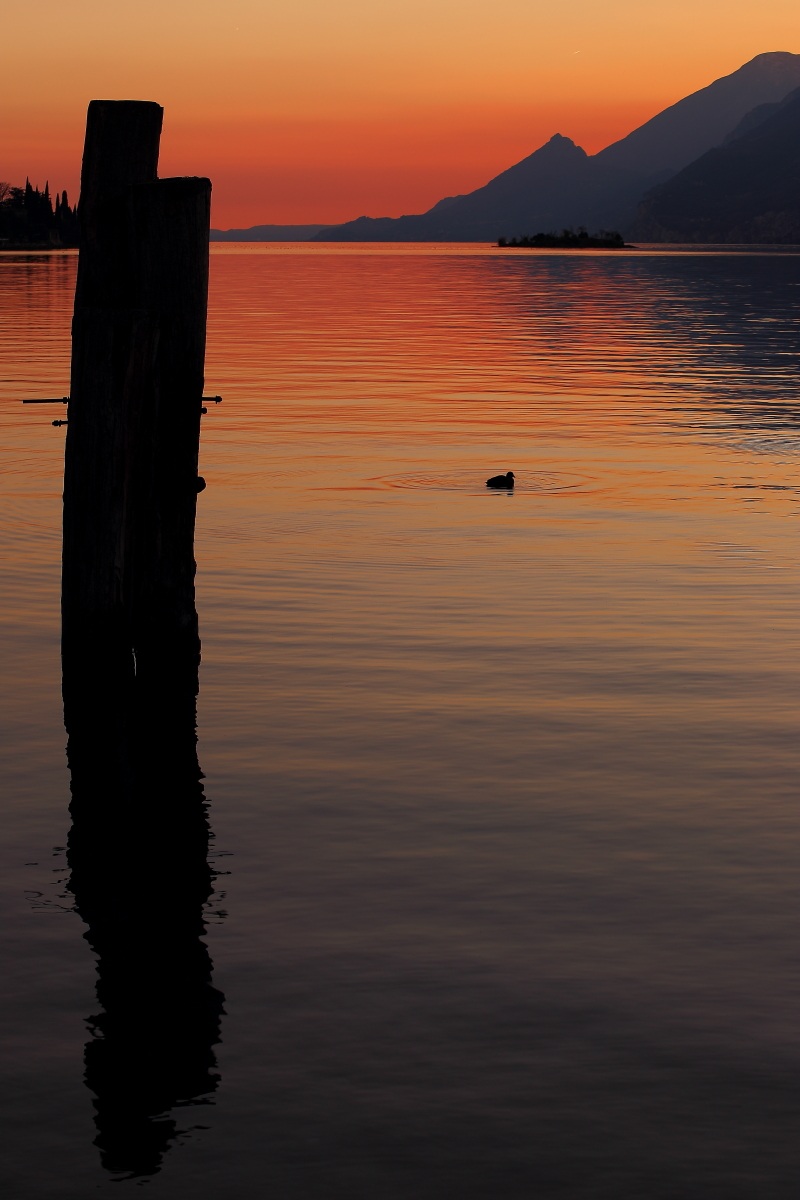 Pink or Red? Malcesine - Lake Garda