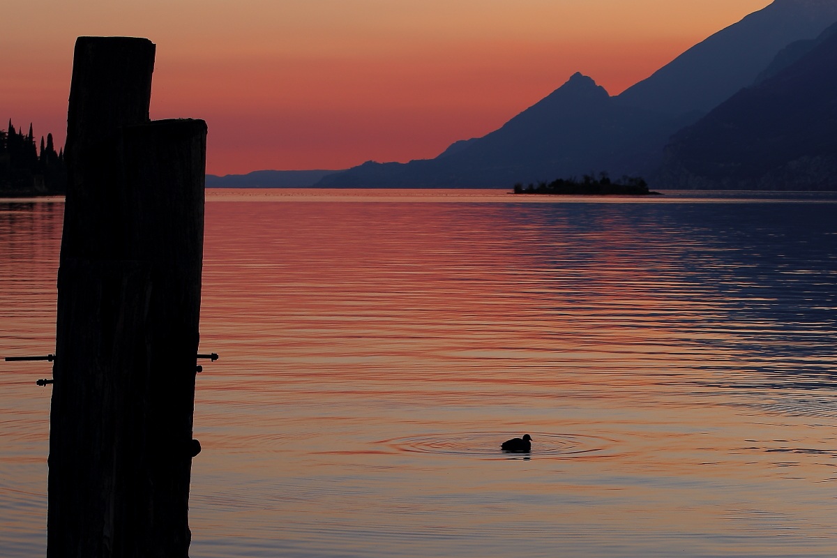 Malcesine - Lake Garda
