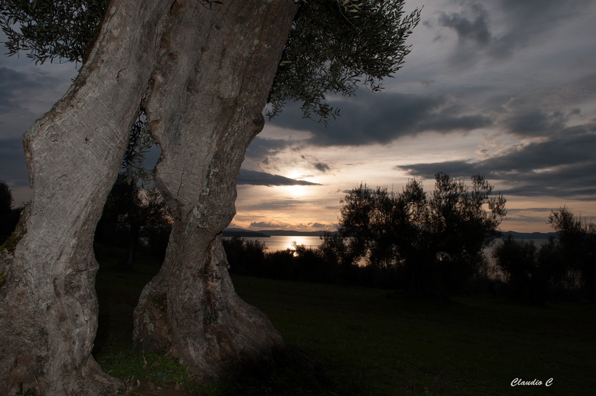 the lake and its keepers