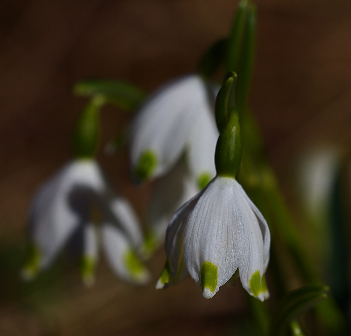 ...e ci salutiamo come vecchi amici