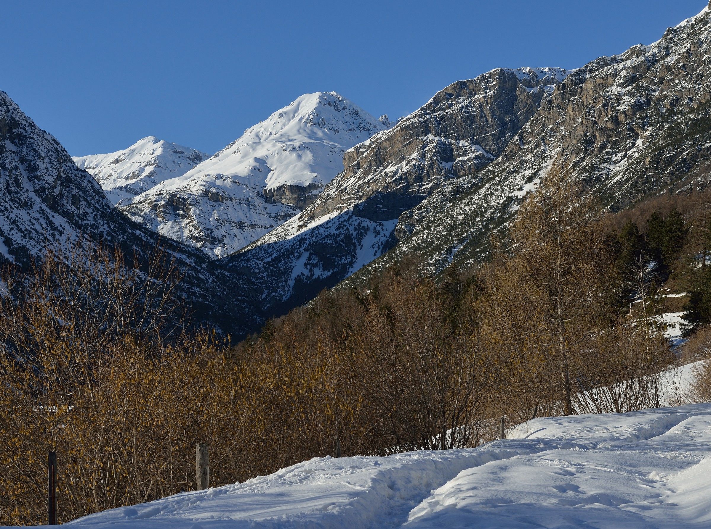 Parco Nazionale dello Stelvio