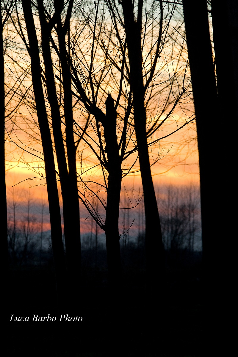Sunset at the Field of Mrs.