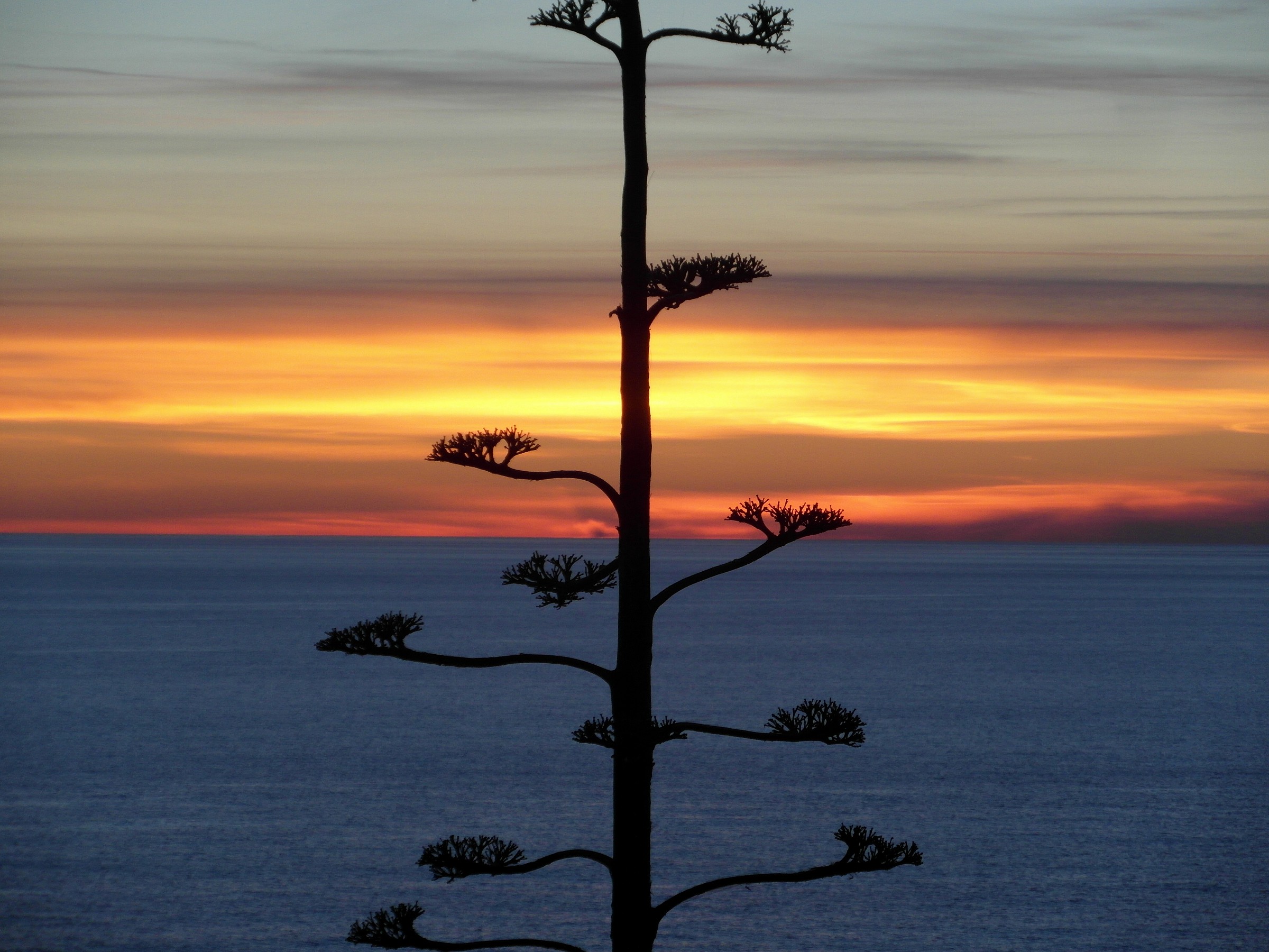 Tramonto 31 dicembre 2013 Portovenere