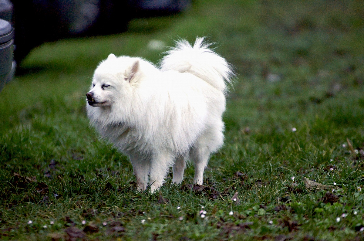 Peter, from 15 years old to accompany me