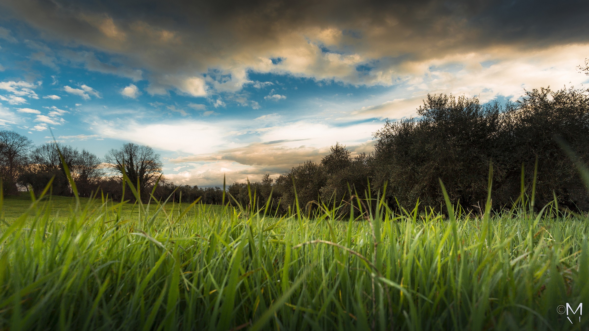 Through the grass ..