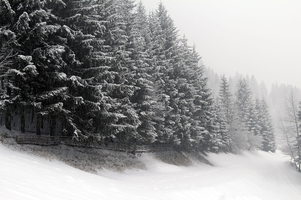 Trentino-passeggiata a Soraga alta