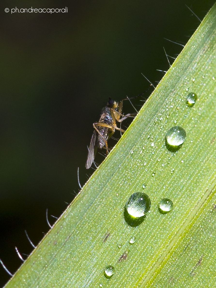 Climbing - Part One.