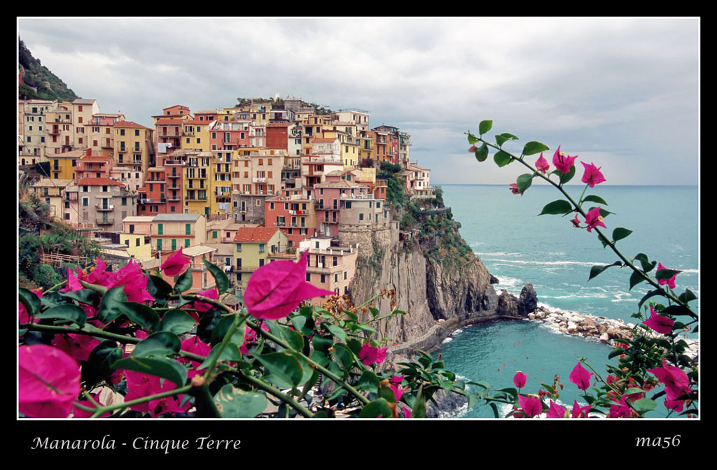 Manarola