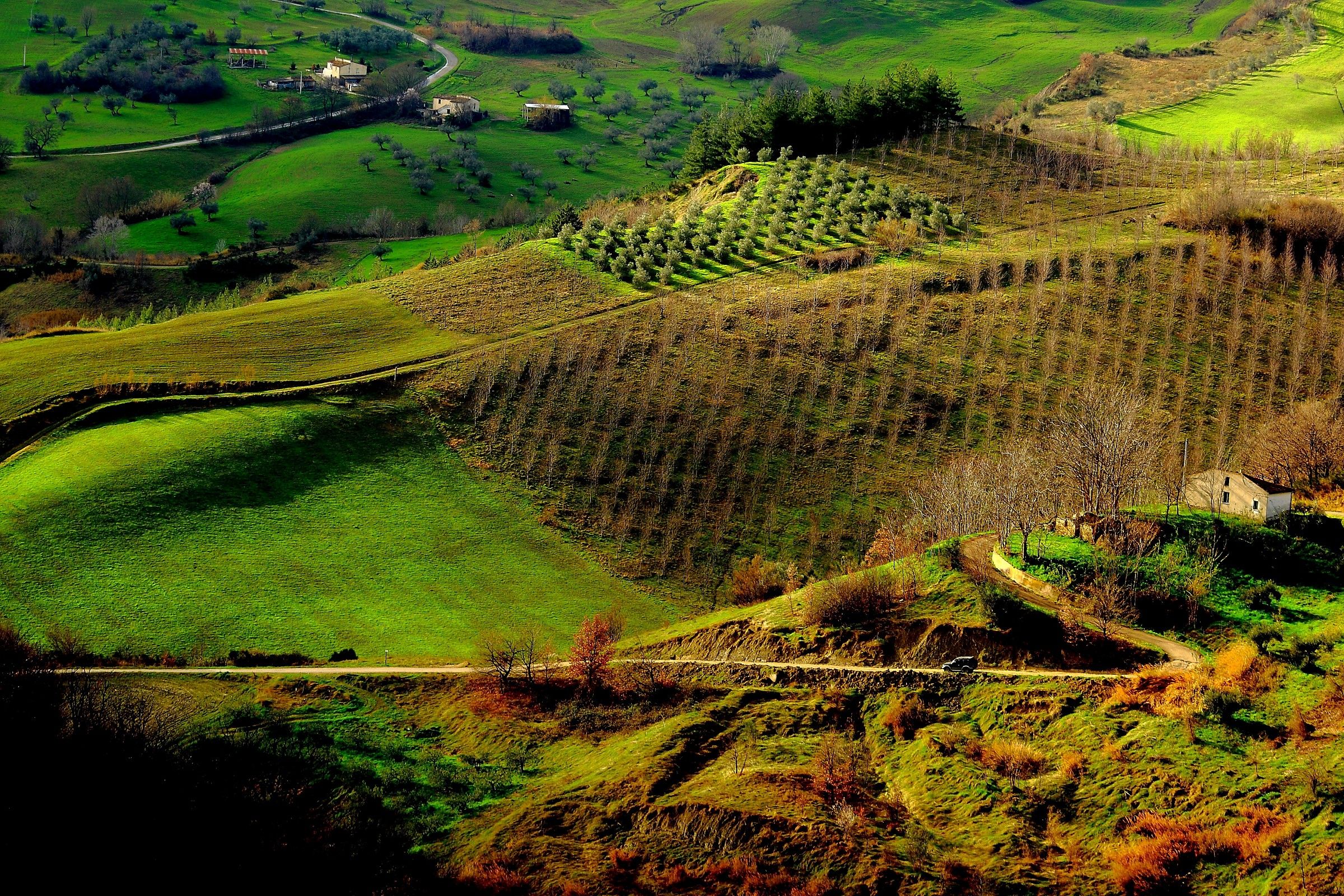 Il furgoncino del fornaio.