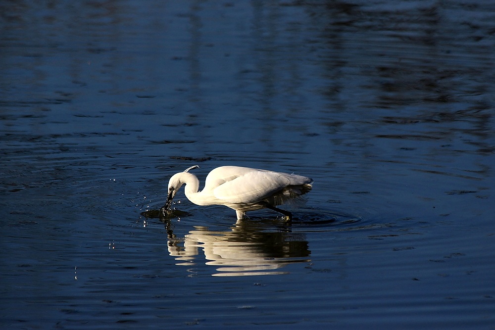 Il buco nell'acqua