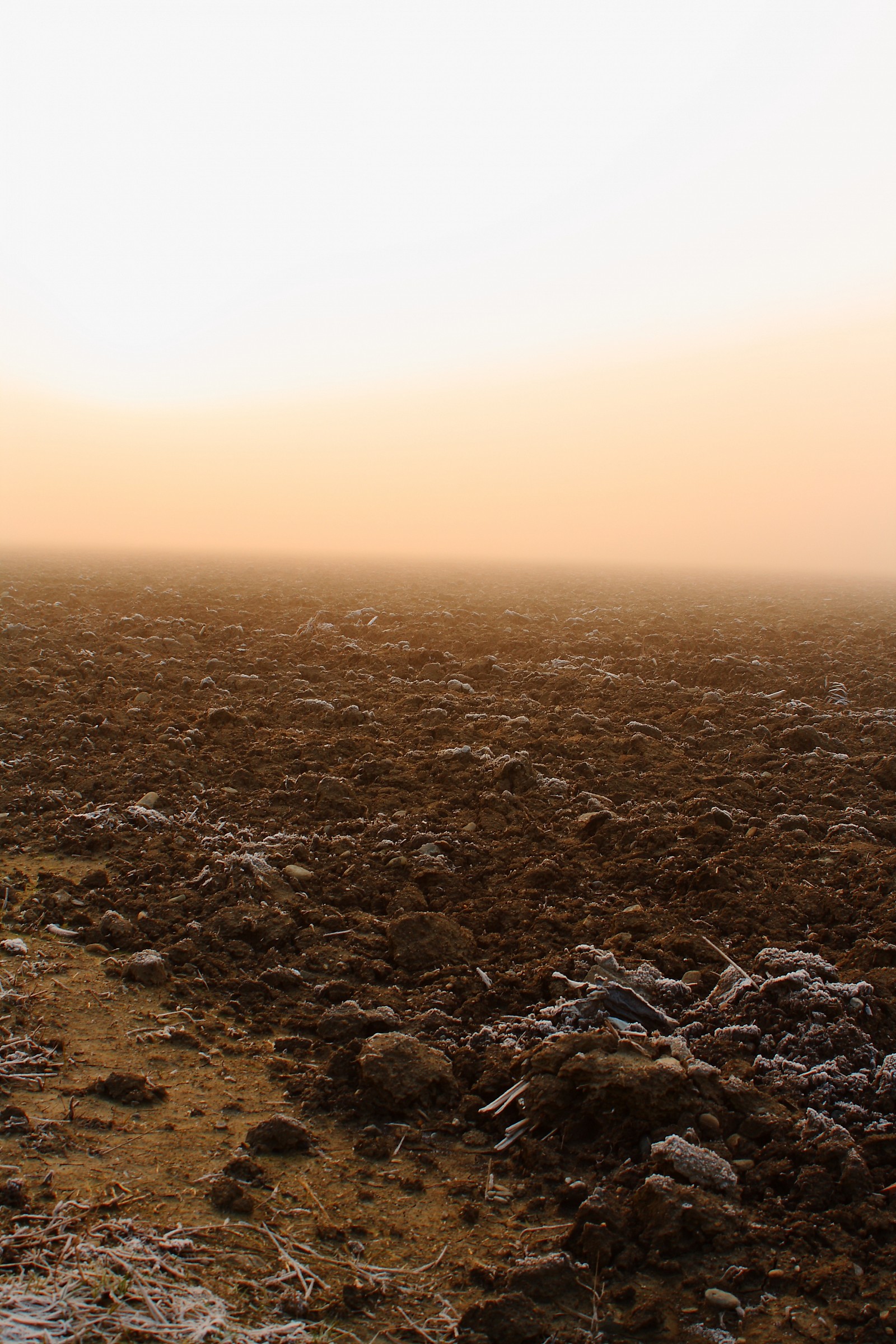 campo di terra alla mia sinistra, nebbia tutto intorno