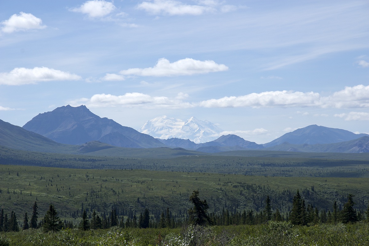 Mount Denali (McKinley) - Denali National Park