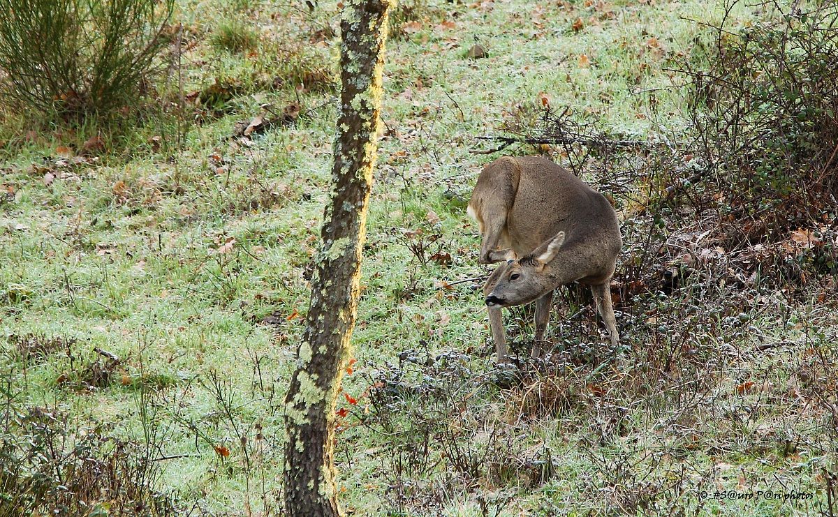 Let's get a scratch .... ...