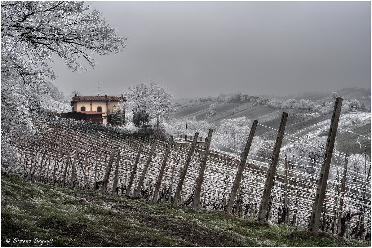 The rime immobilizes the landscape