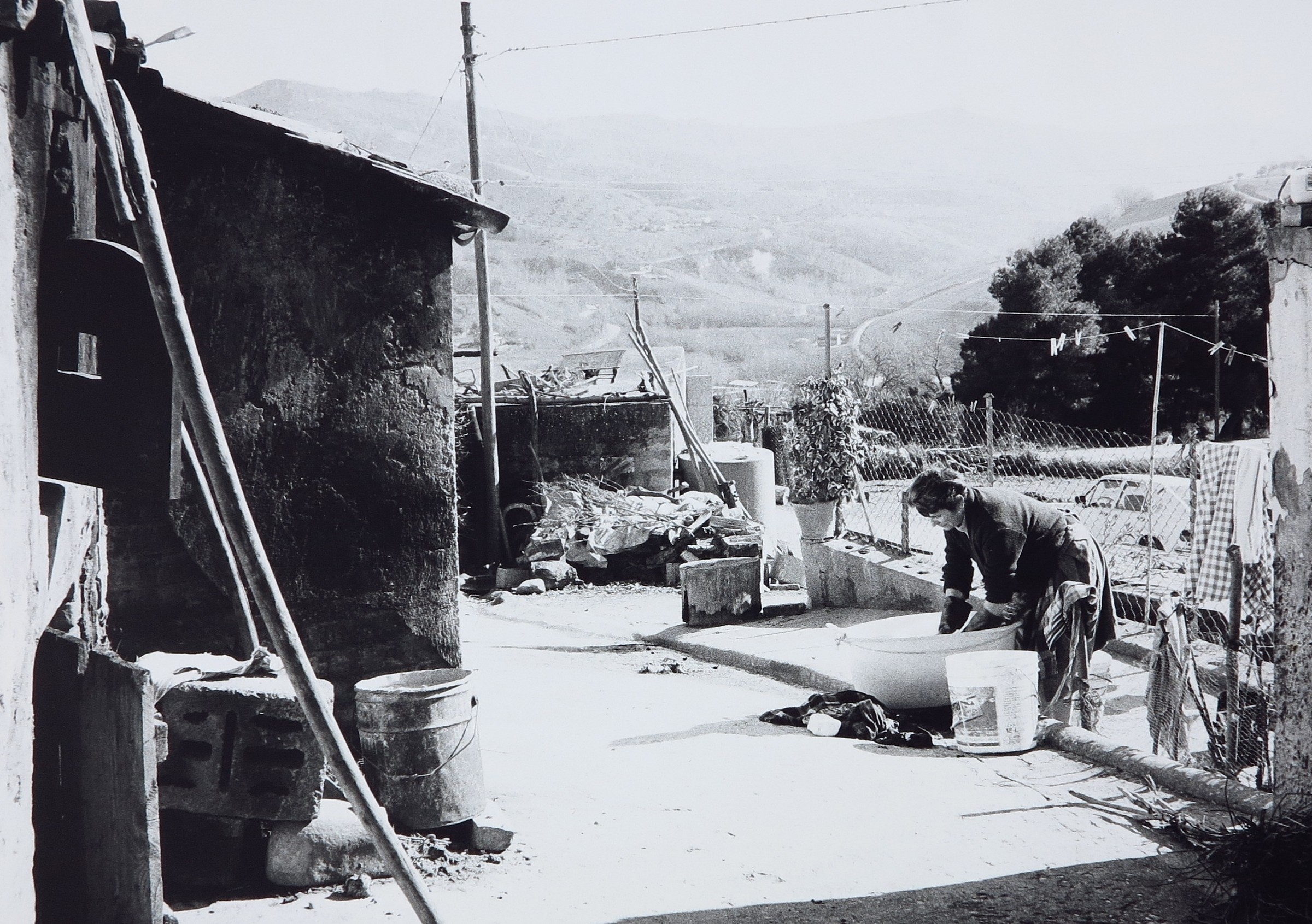 7 pecore = lavatrice.