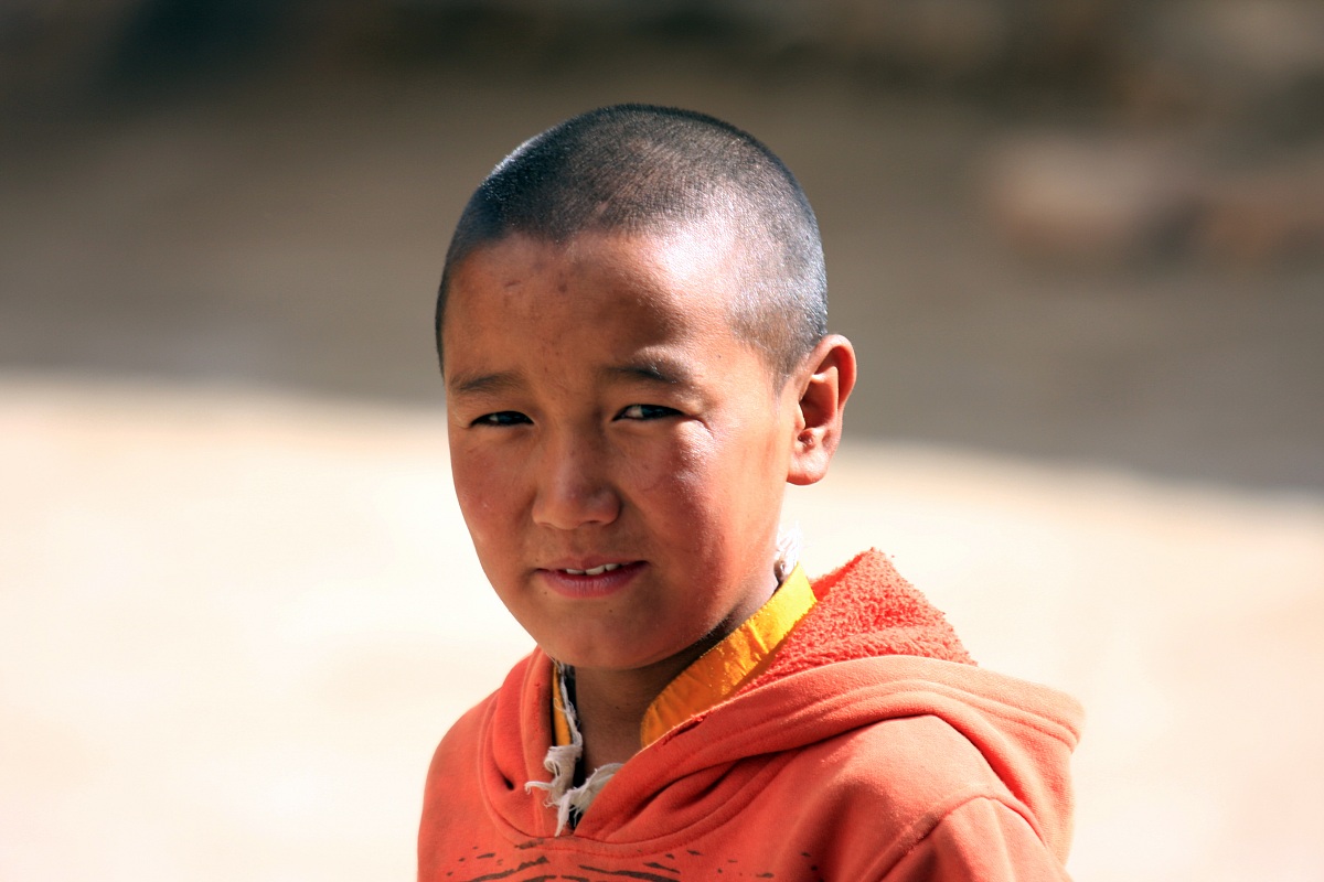 Mustang (Nepal young monaco)