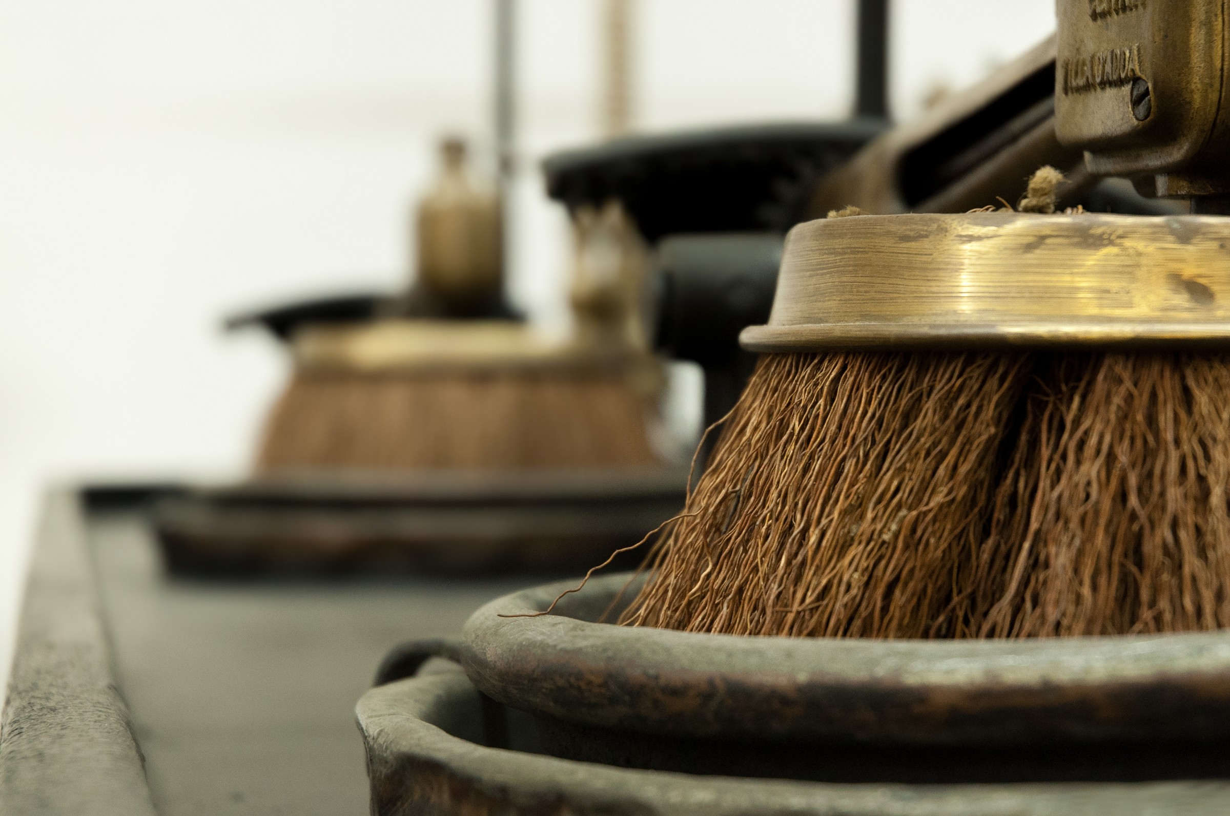 Particulate brush scopinatura