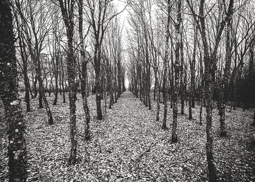 Fila,...che è una bellezza