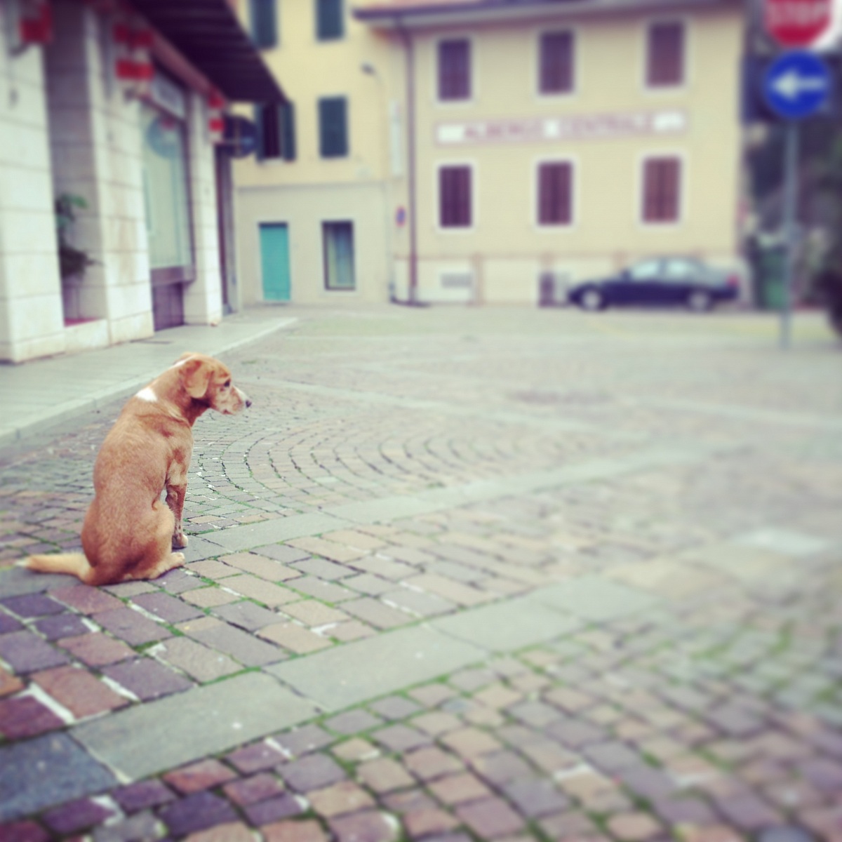 Instragam, alle volte sorprende