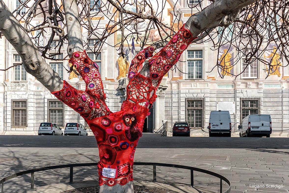 L'albero vestito,MG7_7678