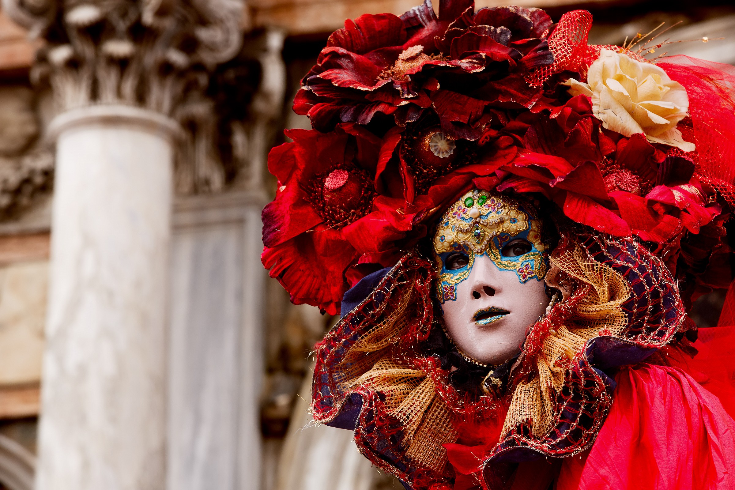 Tribute to Carnival 2014