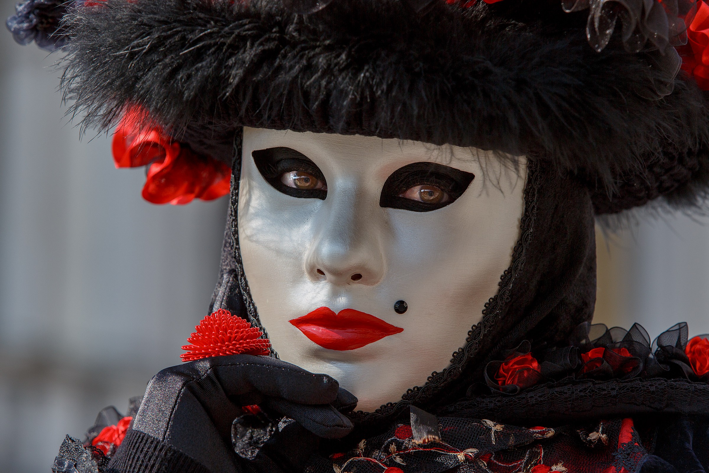 Tribute to Carnival 2014