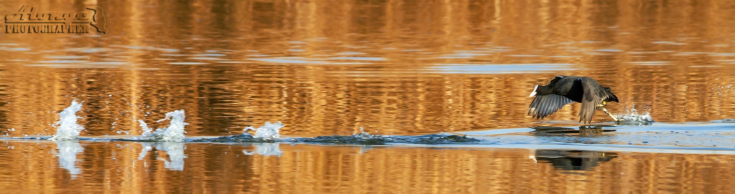 Ma quello che inseguivo dov'è finito???