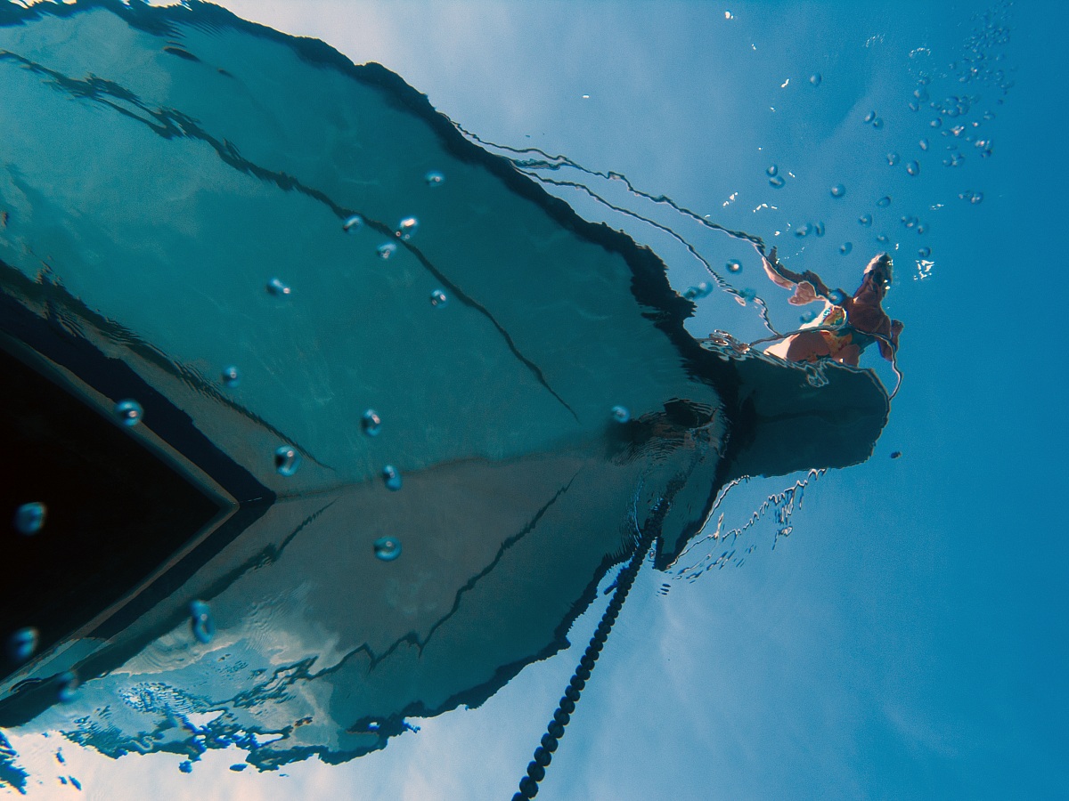Near the surface - Elba Island, 2013