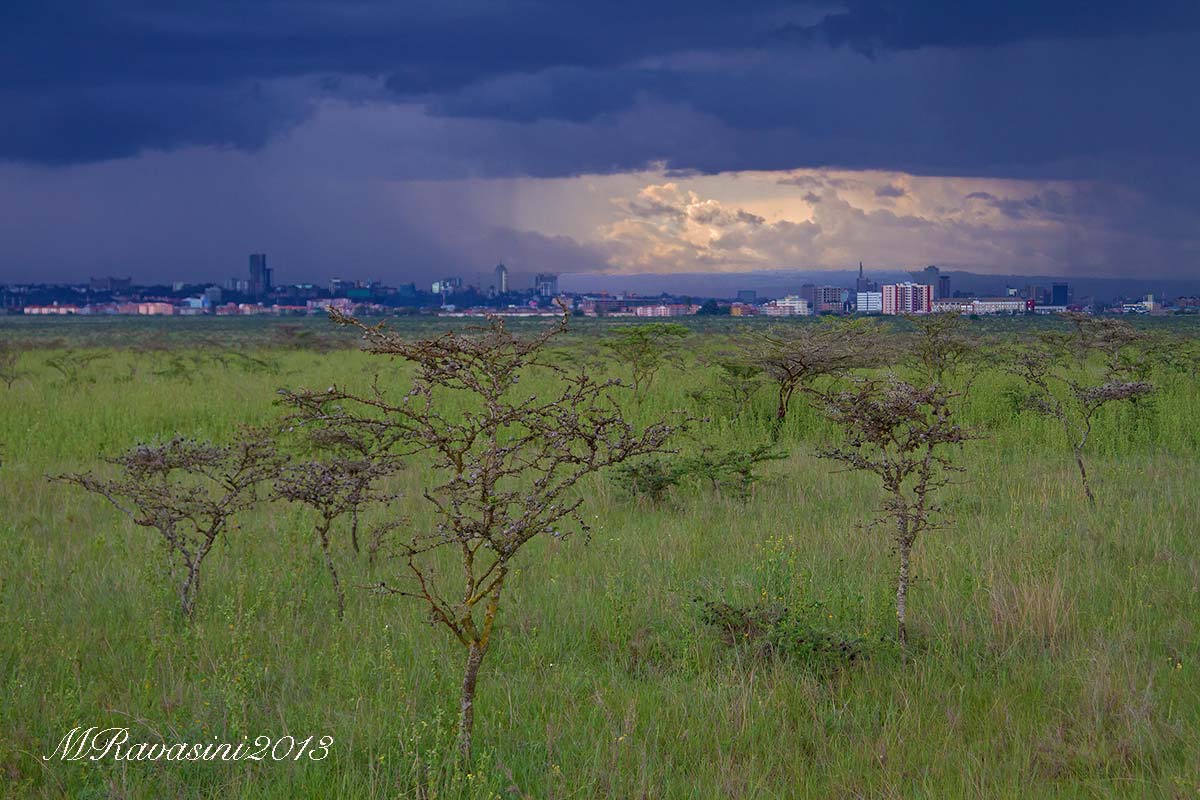 Nairobi dal Parco nazionale, con temporale