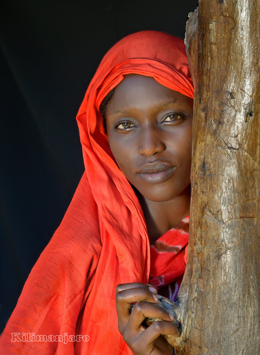 Curiosità e timidezza