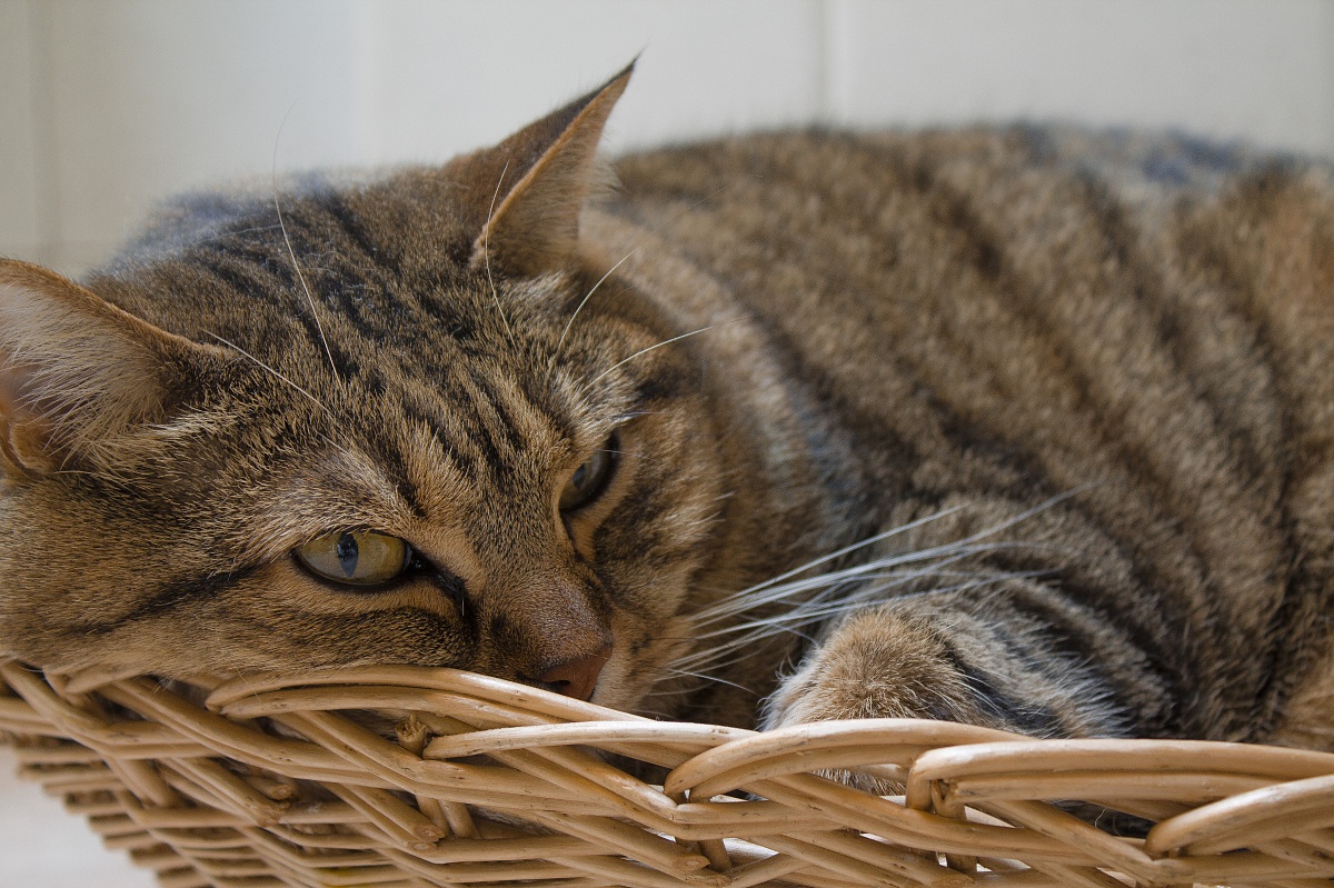 Relax in the afternoon