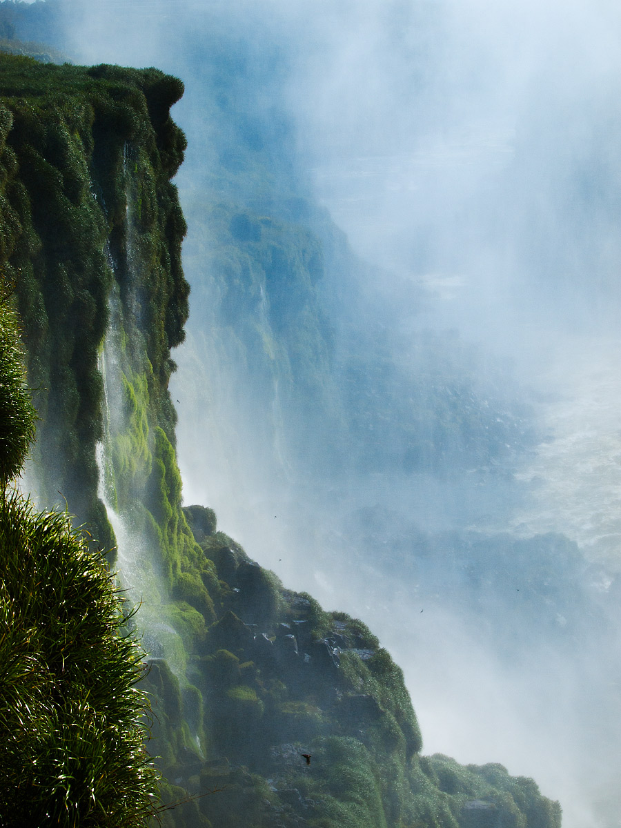 The Land Before Time