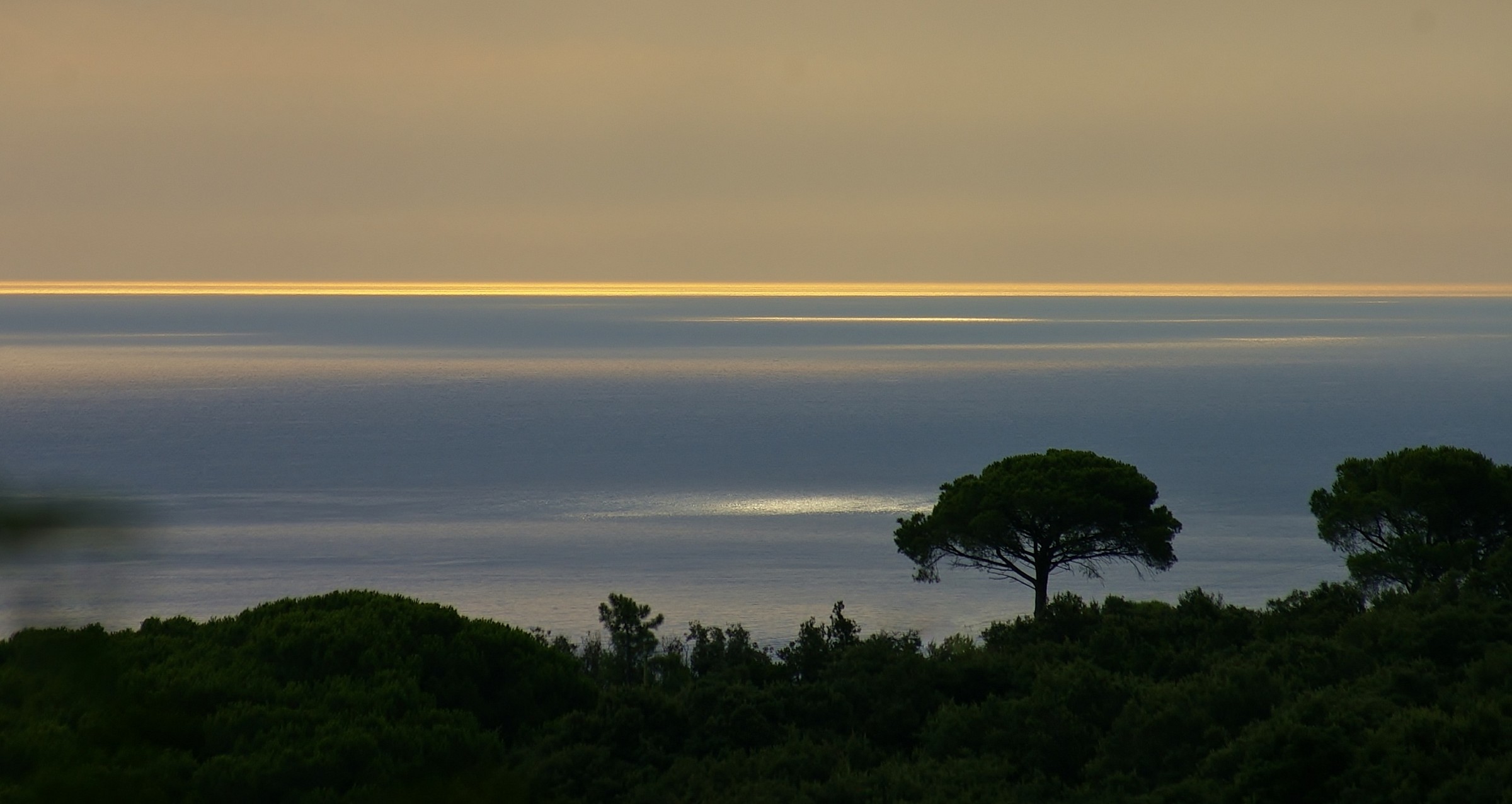 Simple and Trivial 2