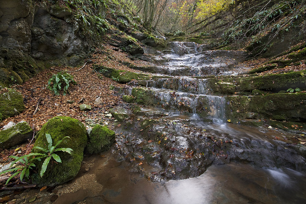 Torrente al Ponte di Veja.