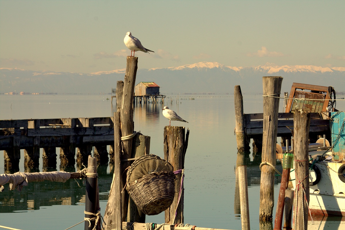 warmth and color of the lagoon