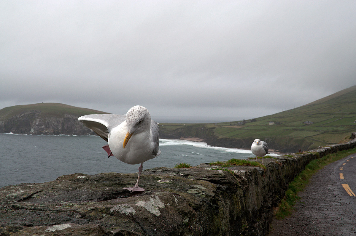 Guarda come sono bravo !!!