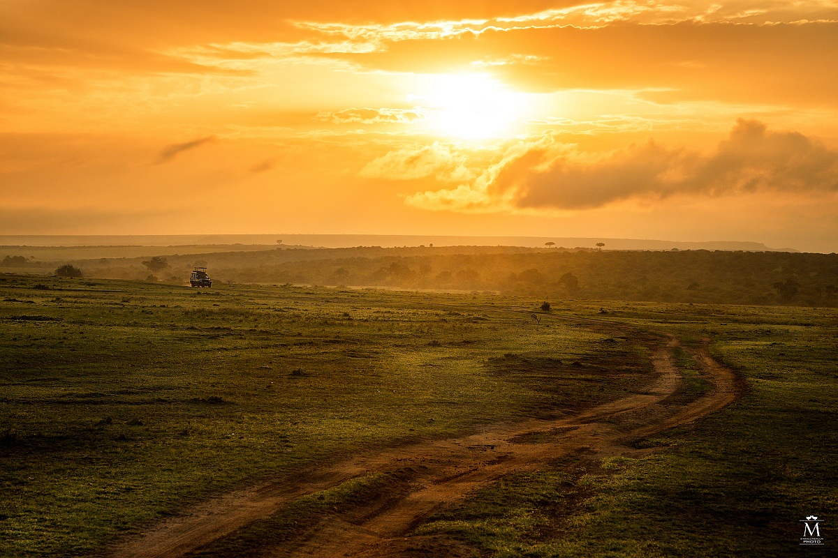 La Magica Alba Africana.