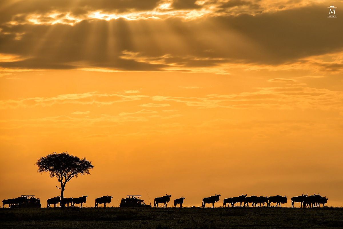La Nostra Giornata di Lavoro Cominciava Così.