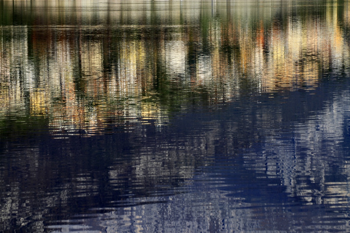 riflesso movimentato